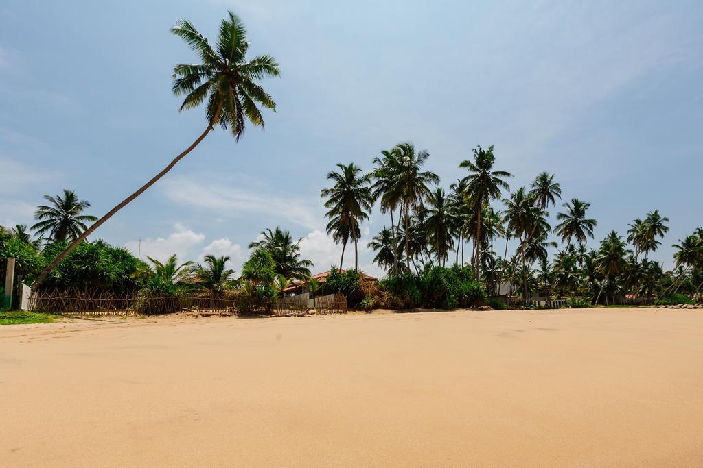 Blue Parrot Beach Villa Ambalangoda  Exterior foto